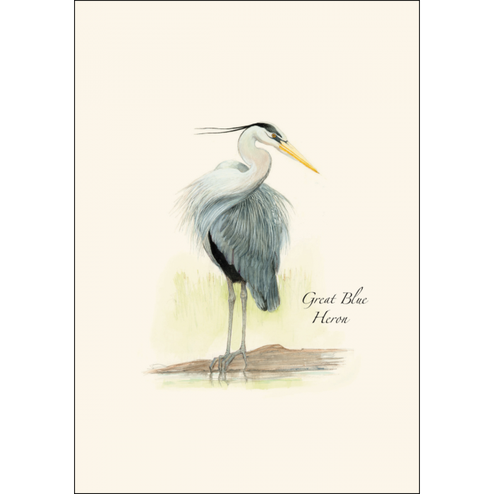 Blue Heron Notecards