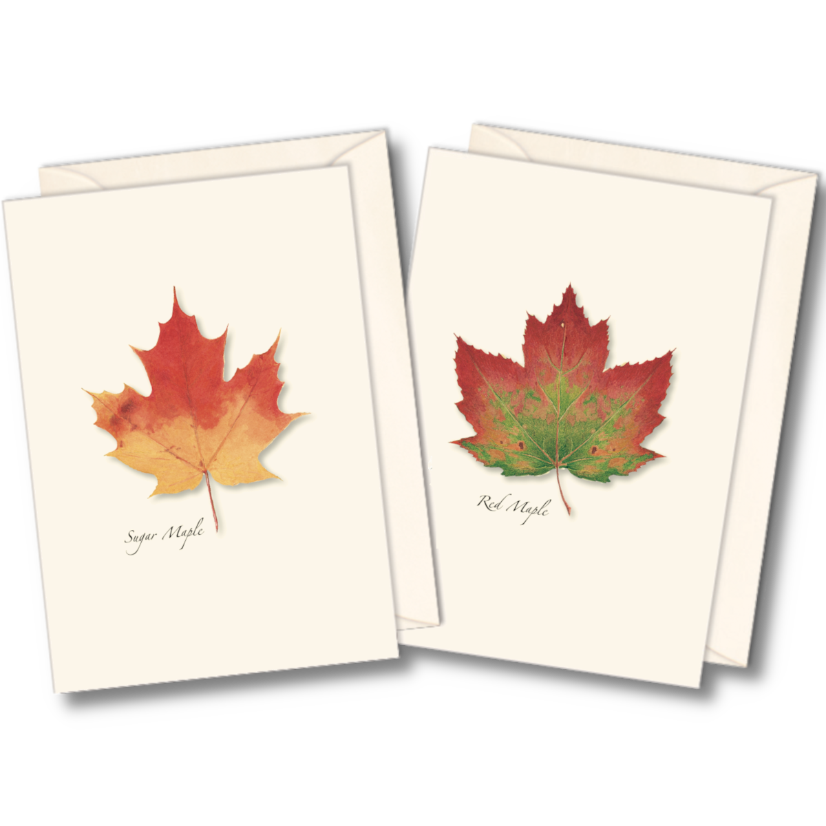Maple Leaf Notecards