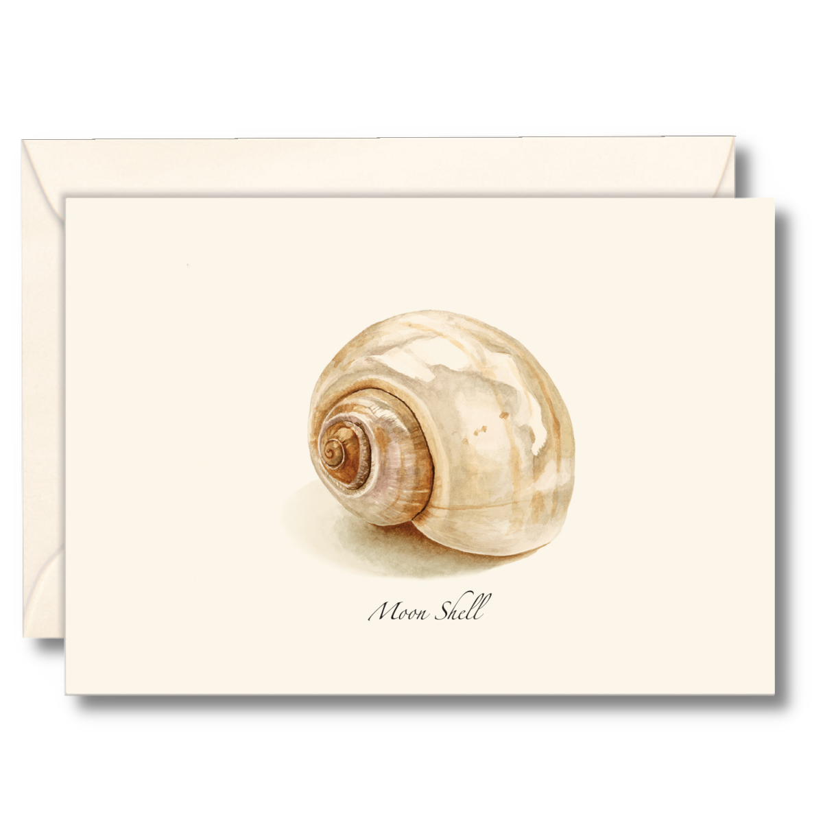 Moon Shell Notecards