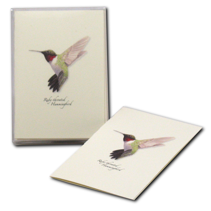 Ruby-throated Hummingbird Notecards