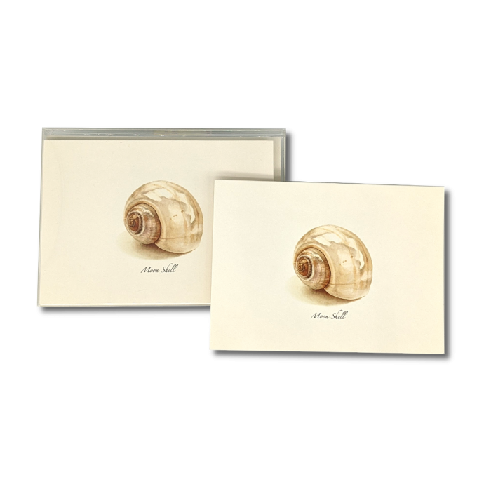Moon Shell Notecards