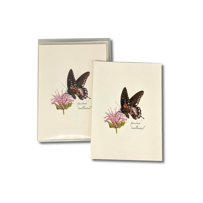 Spicebush Swallowail Butterfly Notecards