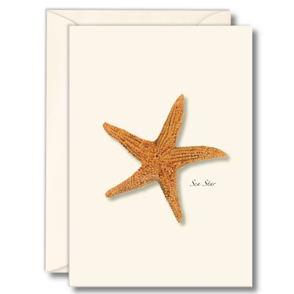 Sea Star Assorted Notecard Set