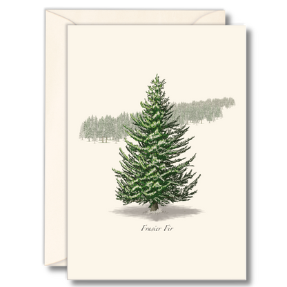 Frasier Fir Notecards