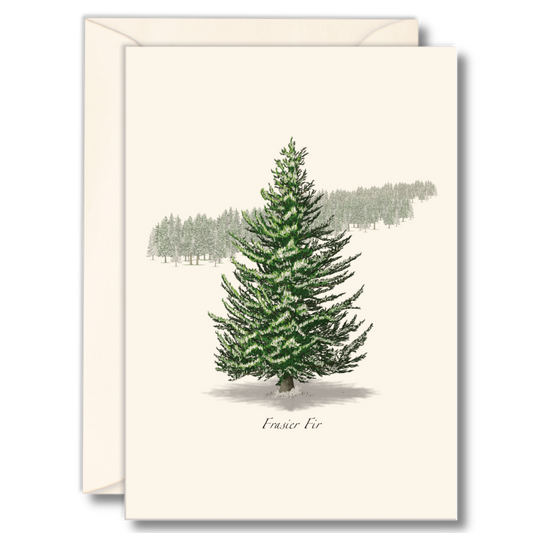 Frasier Fir Notecards