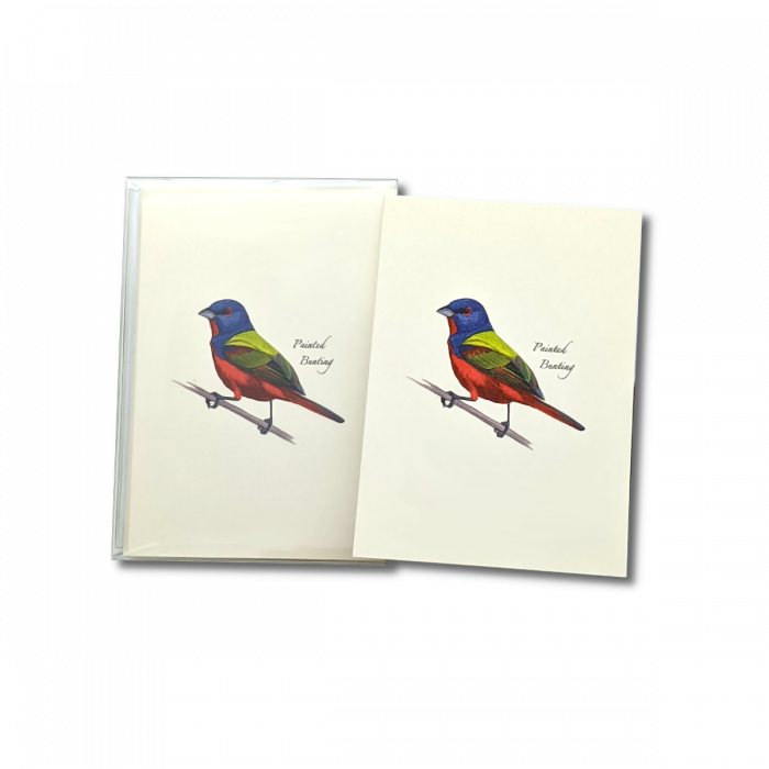 Painted Bunting Notecards