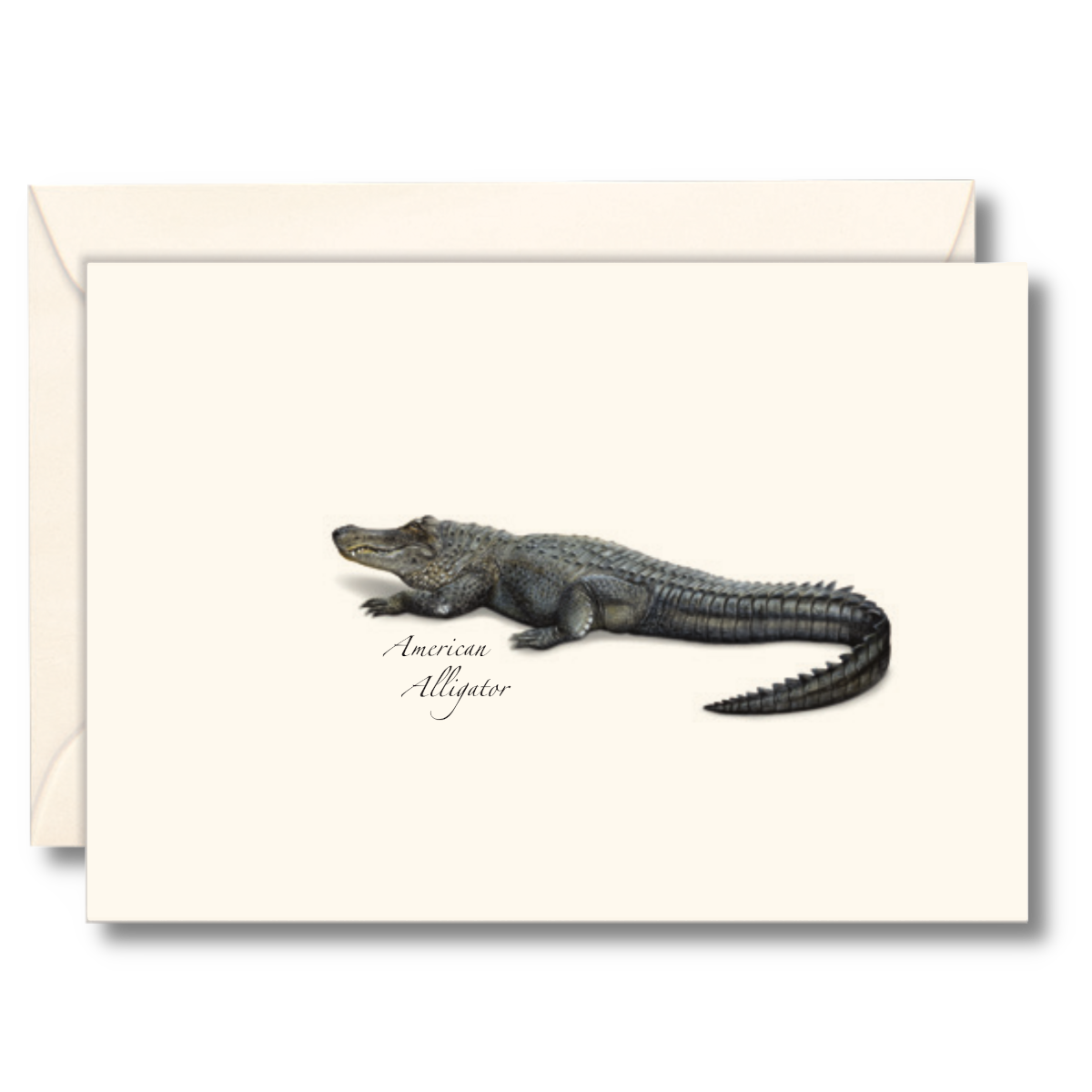 Alligator Notecard Set