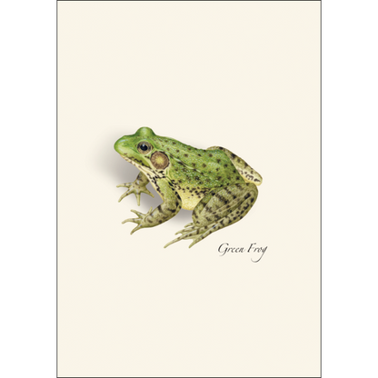 Frog & Toad Notecards