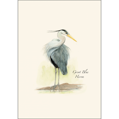 Blue Heron Notecards