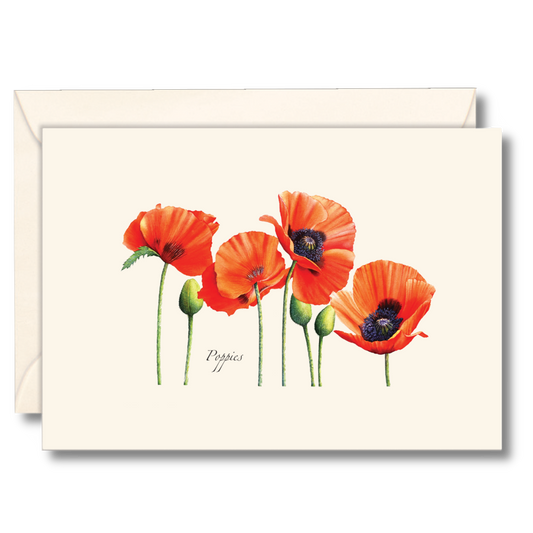 Poppies Notecards