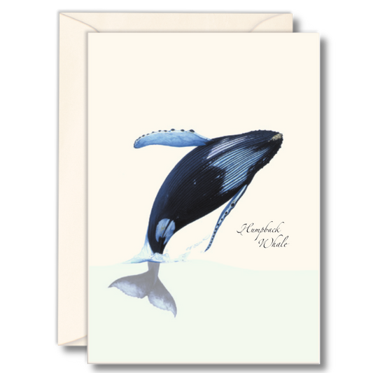 Whale Notecards