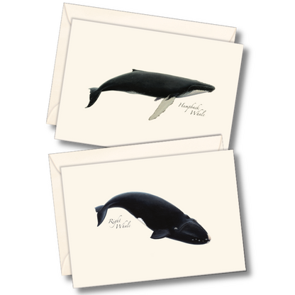 Whales Notecards