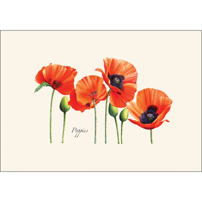 Poppies Notecards