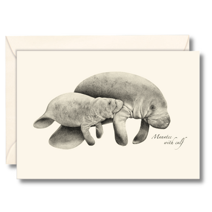 Manatees Nnotecards