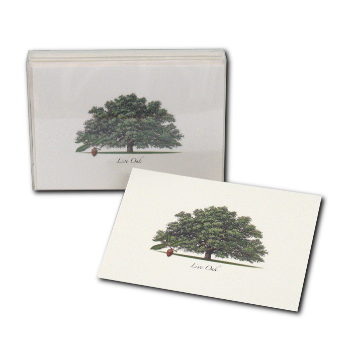 Live Oak Trees Notecards