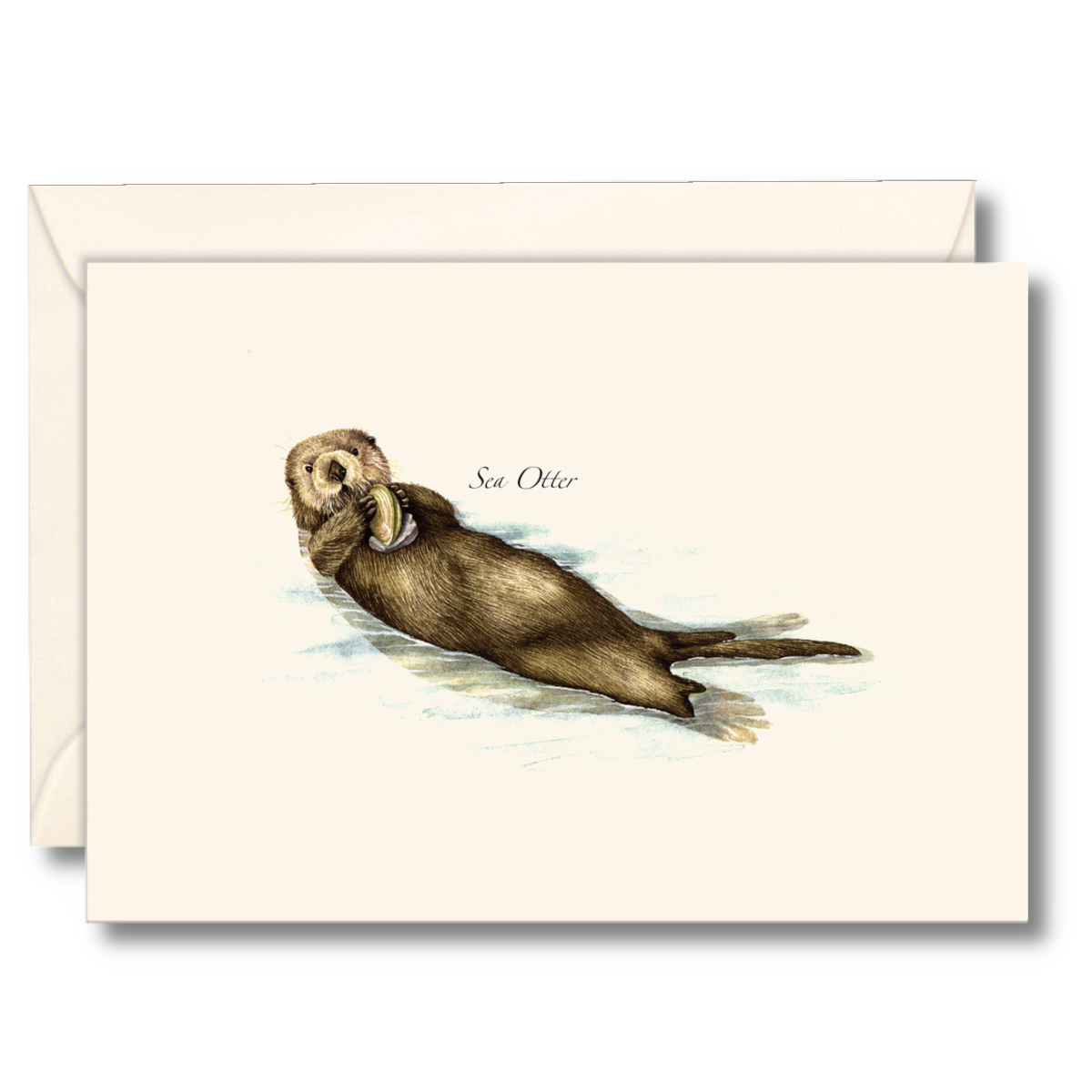 Sea Otter Notecards