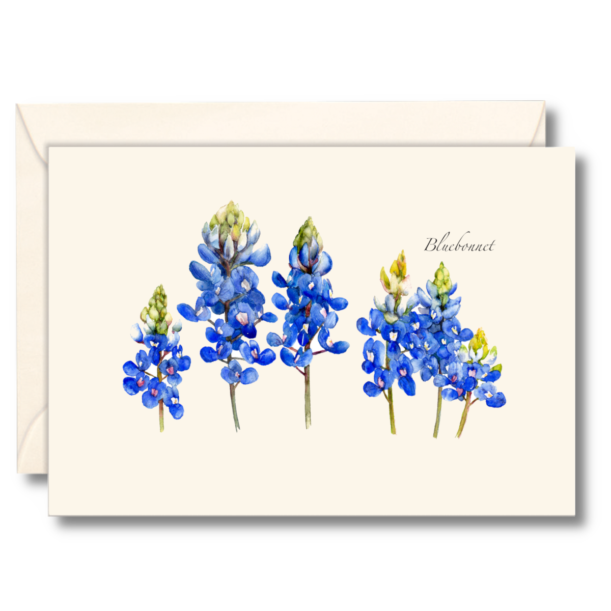 Bluebonnet Notecard Set