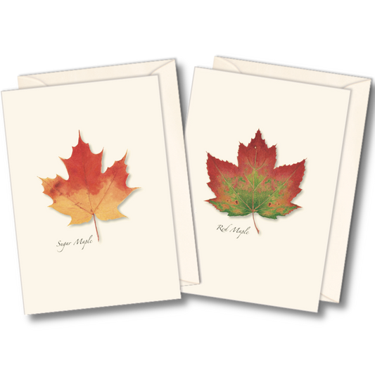 Maple Leaf Notecards