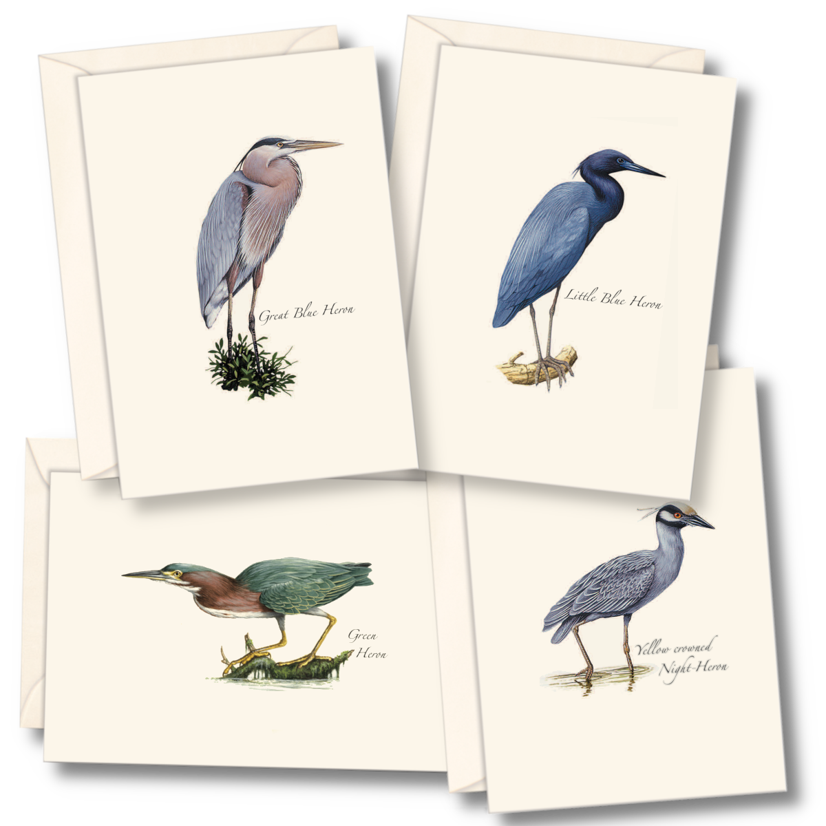 Heron Notecards