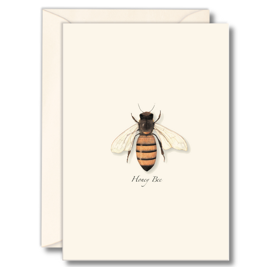 Honey Bee Notecards