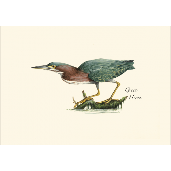 Heron Notecards