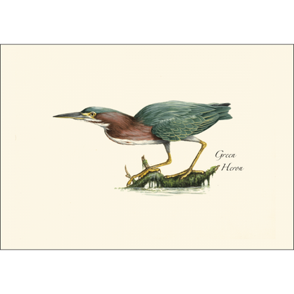 Heron Notecards