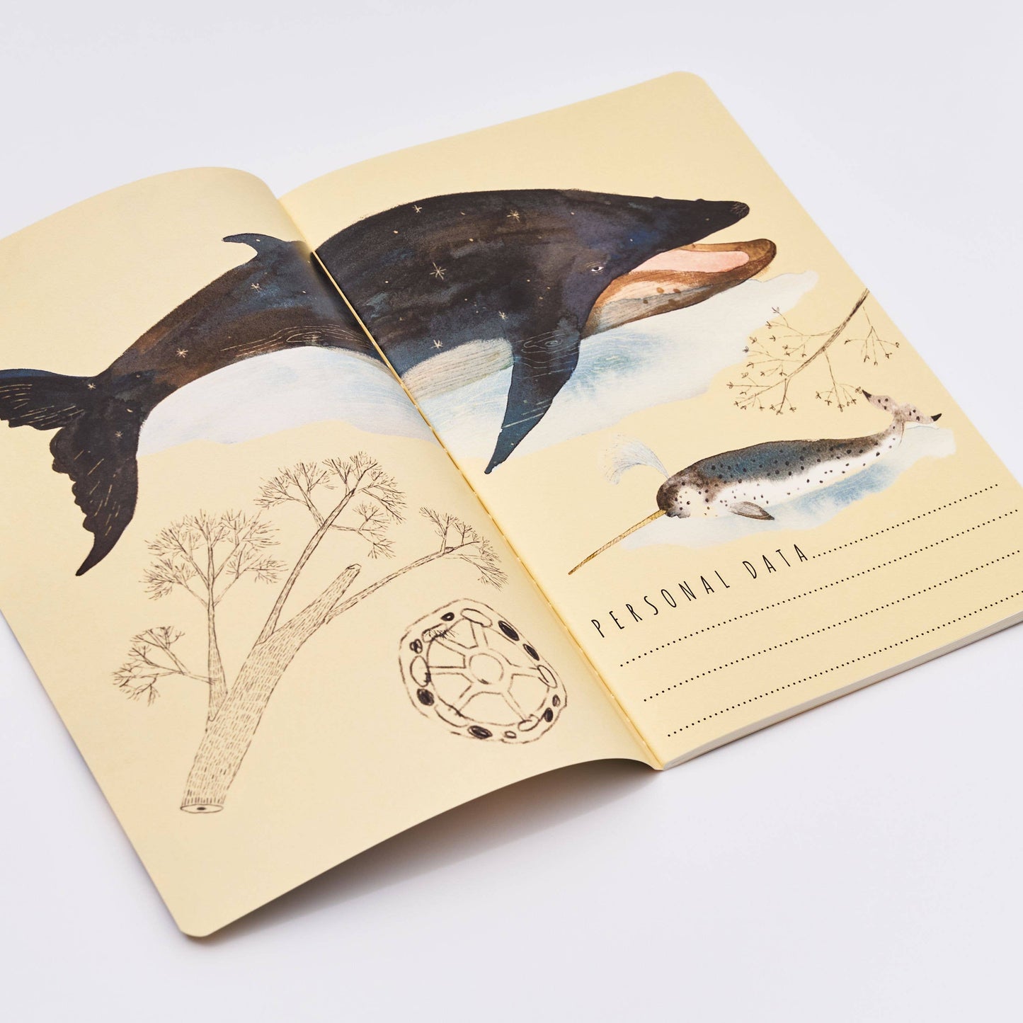 Whales Notebook