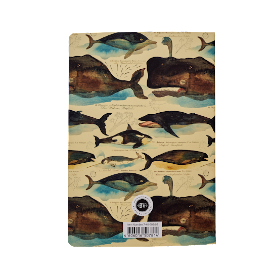 Whales Notebook