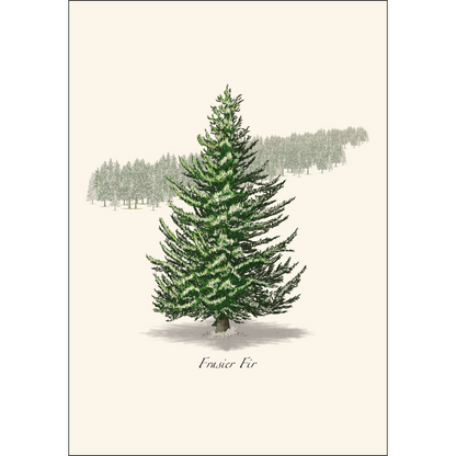 Frasier Fir Notecards