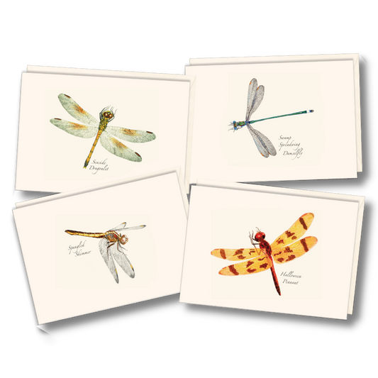 Damselfly & Dragonfly Assortment II Notecard Set