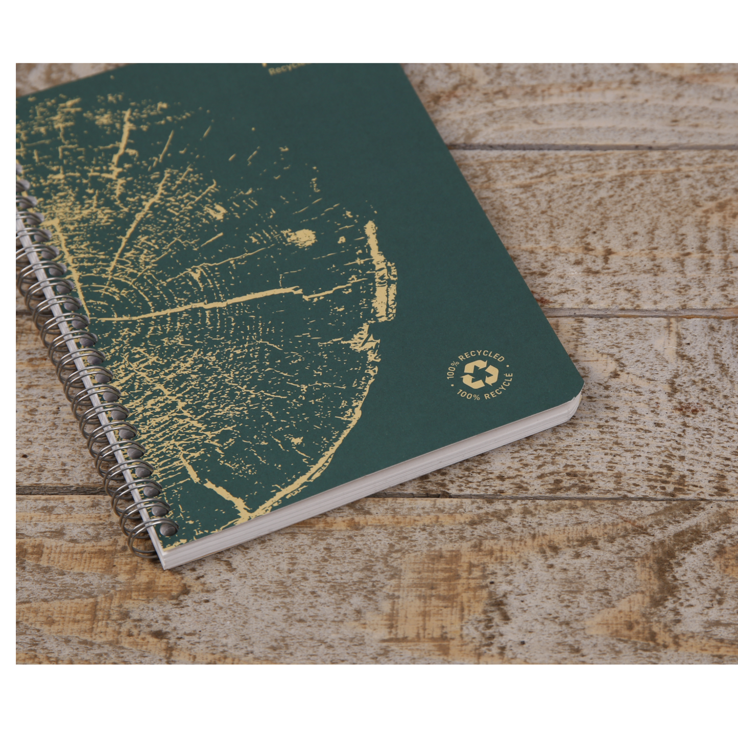 Clairefontaine "Forever" 100% Recycled Notebooks: Staple Spine - Green