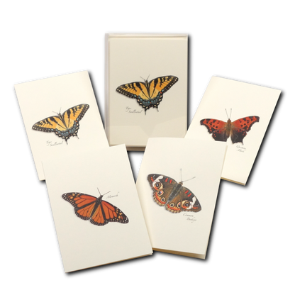 Butterfly Assortment Notecard Set