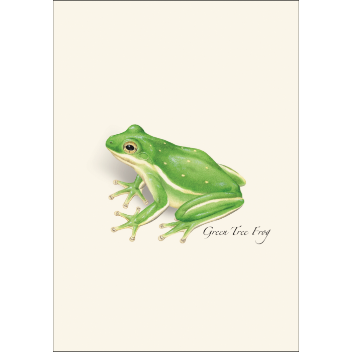 Frog & Toad Notecards