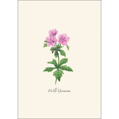 Meadow Wildflower Notecards