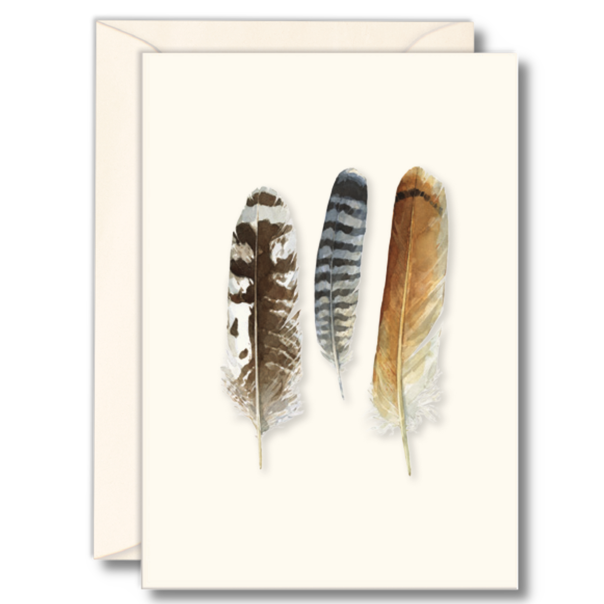 Raptor Feathers Notecards