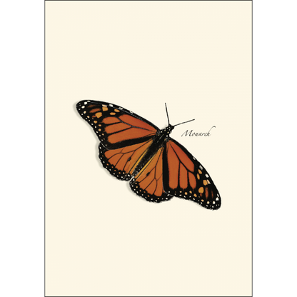 Butterfly Assortment Notecard Set