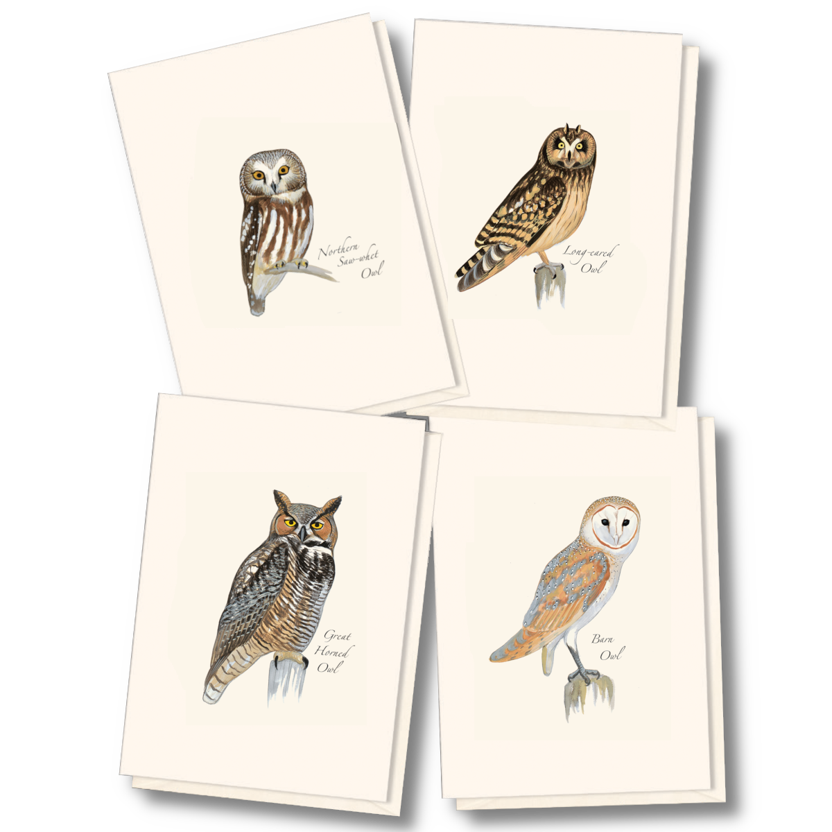 Sibley Owl Notecards Assortment