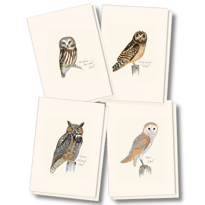 Sibley Owl Notecards Assortment