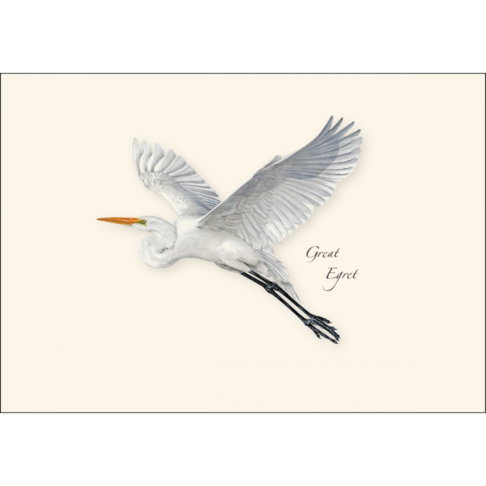 Egret Notecards