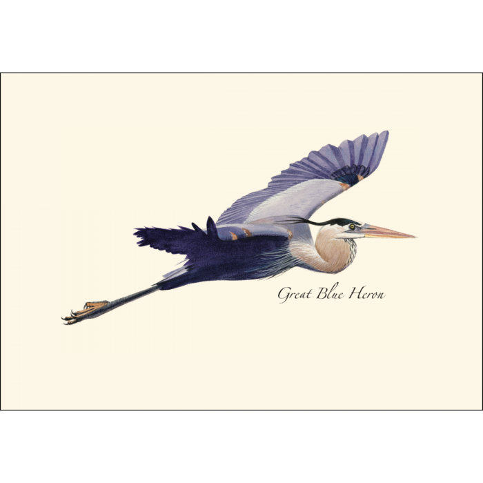 Blue Heron in Flight Notecards