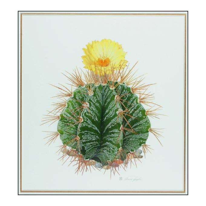 RHS Botanical Illustration: The Gold Medal Winners