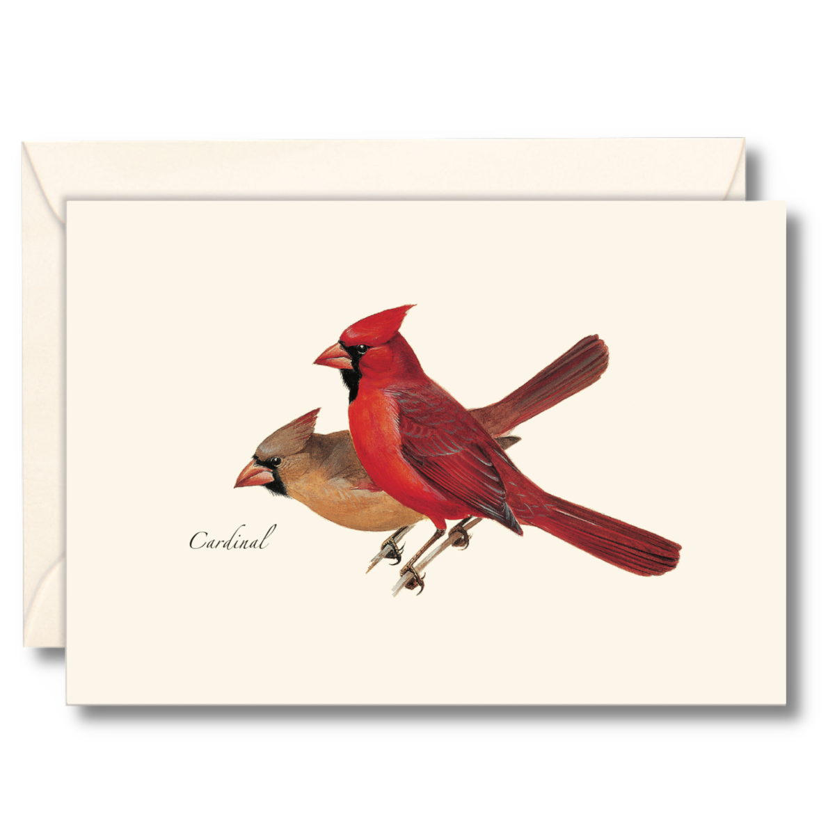 Cardinal Notecard Set, Illustrated by Roger Tory Peterson