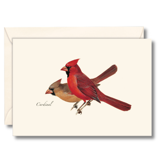 Cardinal Notecard Set, Illustrated by Roger Tory Peterson