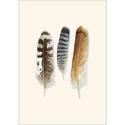 Raptor Feathers Notecards