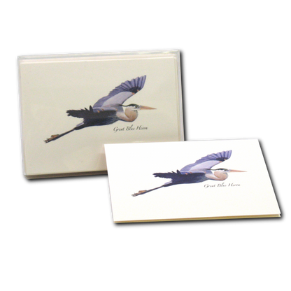 Blue Heron in Flight Notecards