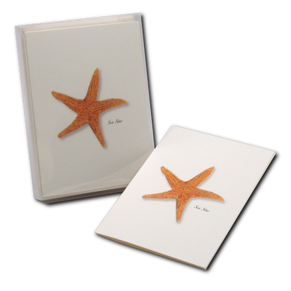 Sea Star Assorted Notecard Set