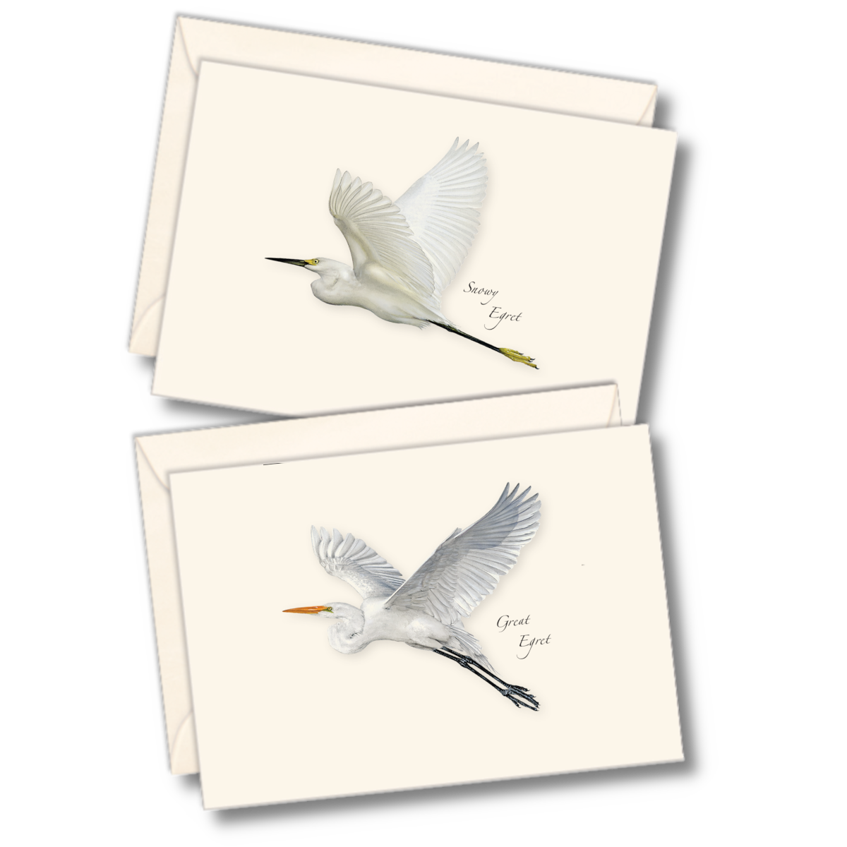 Egret Notecards