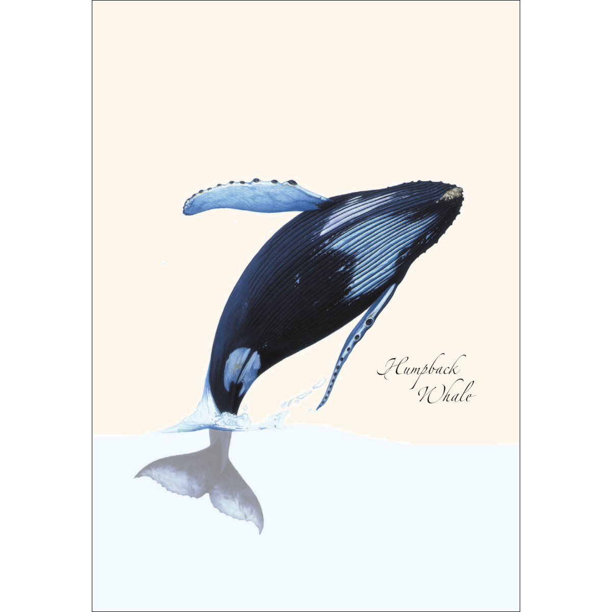 Whale Notecards