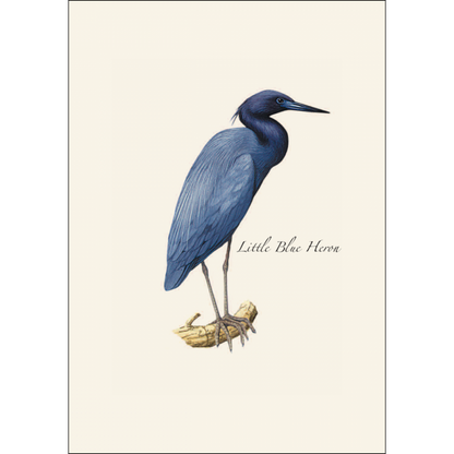 Heron Notecards