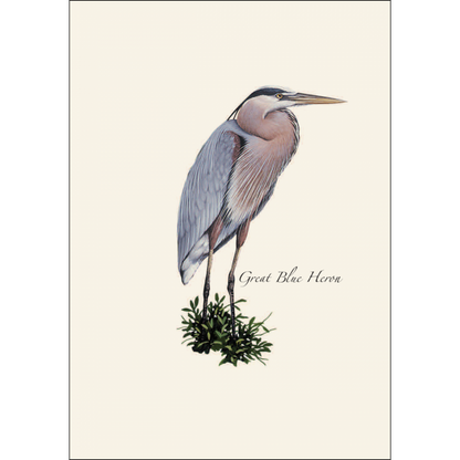 Heron Notecards